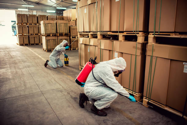 Best Bed Bug Extermination  in Winnsboro, TX