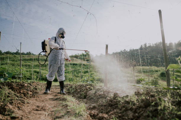 Best Commercial Pest Control Services  in Winnsboro, TX