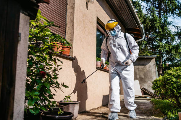 Best Residential Pest Control  in Winnsboro, TX