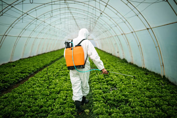 Best Best Pest Control Companies  in Winnsboro, TX