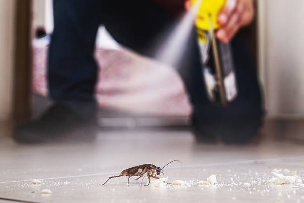 Best Best Pest Control Companies  in Winnsboro, TX