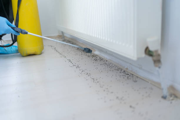 Best Exterminator Services  in Winnsboro, TX