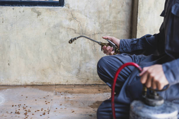 Best Emergency Pest Control  in Winnsboro, TX